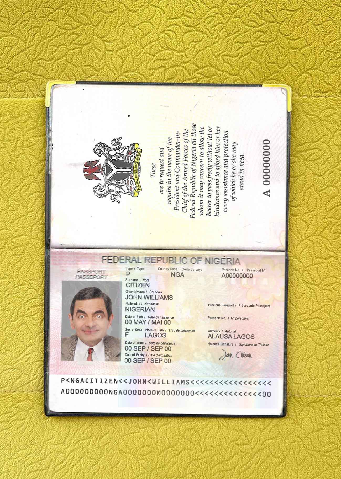 Nigeria passport (2007 2019) photo look PSD template